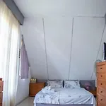 Mary's House