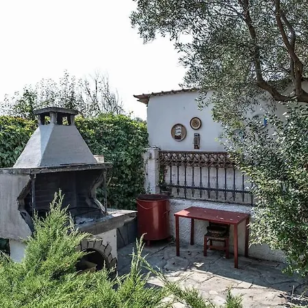 Mary's House